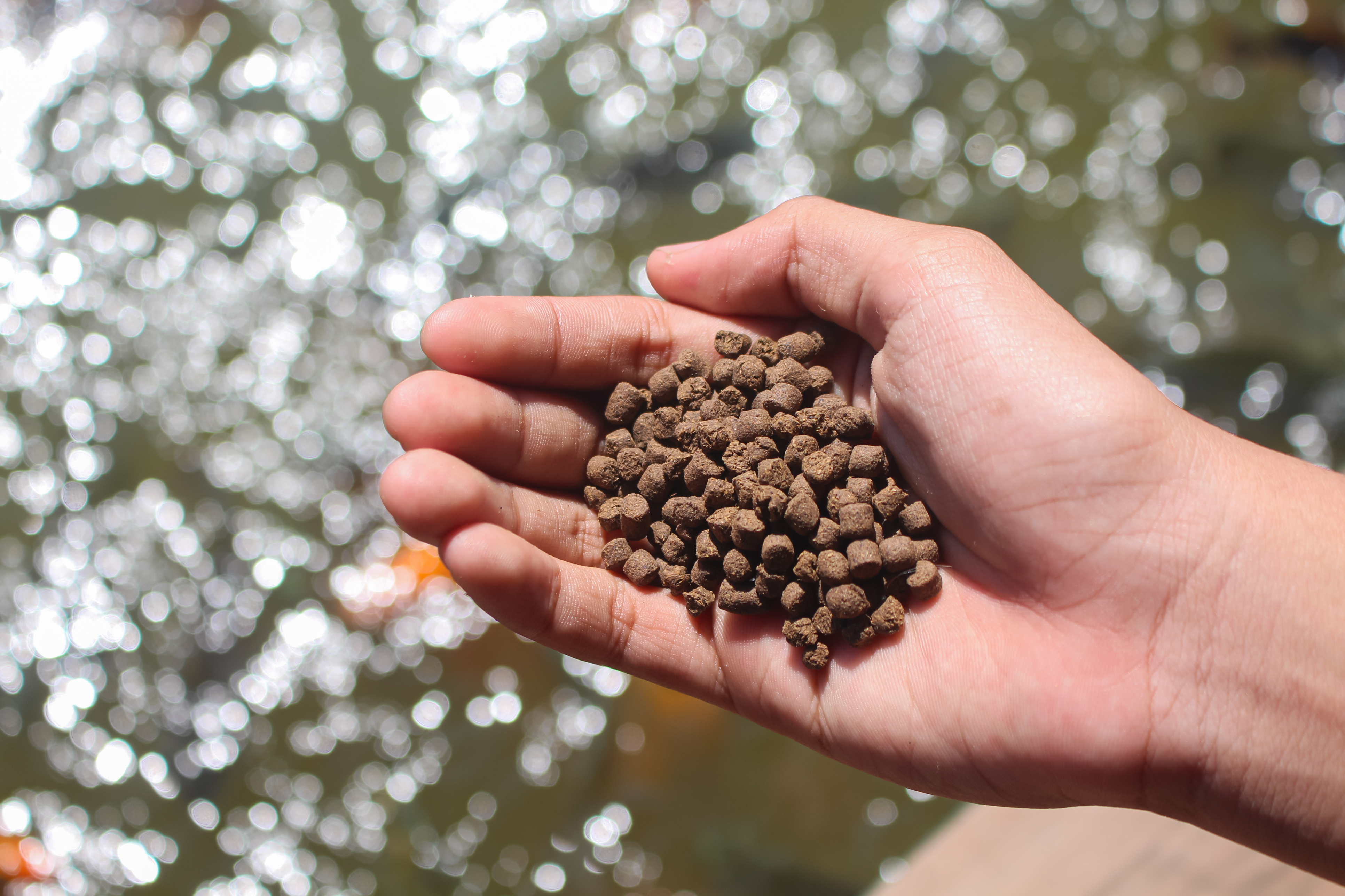 Pellets